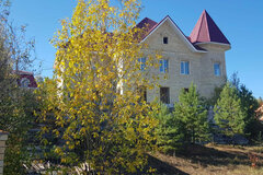 д. Токарево, ул. Центральная, 30 (городской округ Сысертский) - фото коттеджа