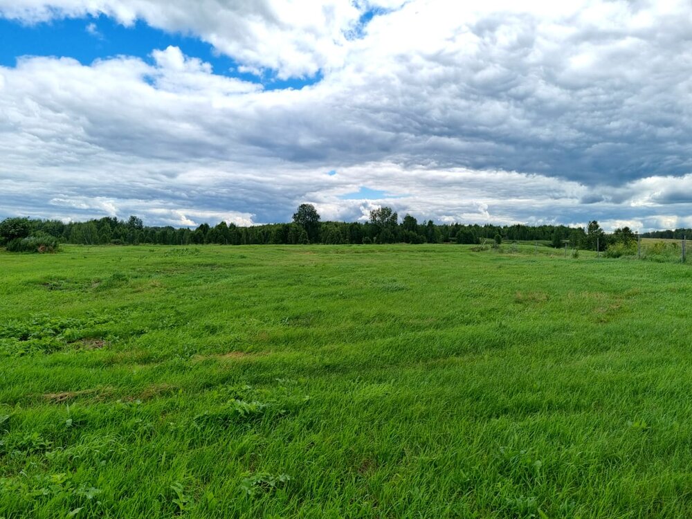 д. Фадюшина, ул. Набережная, 19 (городской округ Камышловский) - фото земельного участка (4)