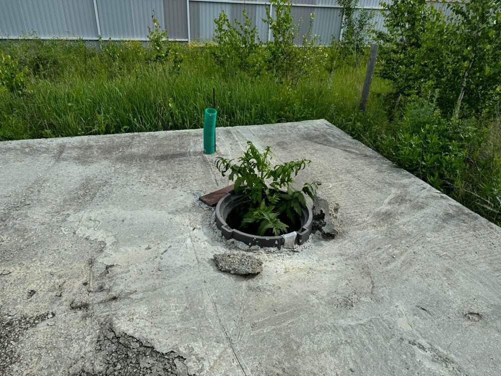 к.п. Первомайский парк, ул. Окружная, 20 (городской округ Сысертский) - фото земельного участка (4)