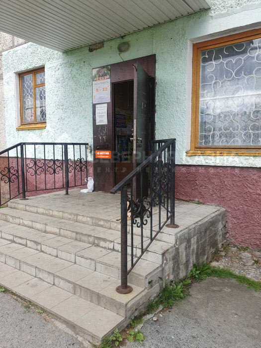 п. Левиха, ул. Карла Маркса, 10 (городской округ Кировградский) - фото торговой площади (3)