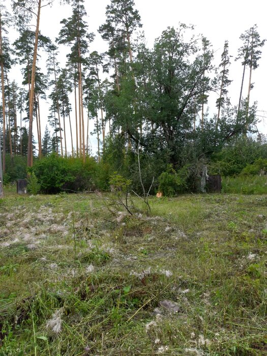Екатеринбург, ул. Опытная, 5 (М.Исток) - фото земельного участка (4)