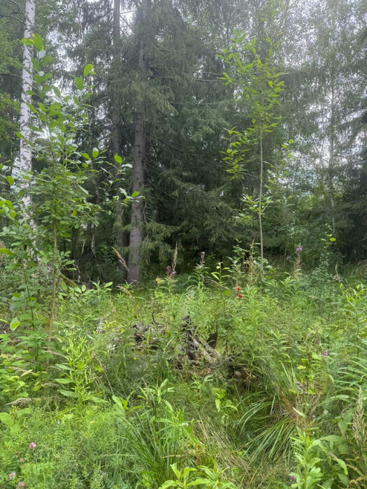 г. Верхний Тагил, ул. мкр. Северный, 118 (городской округ Верхний Тагил) - фото земельного участка (1)