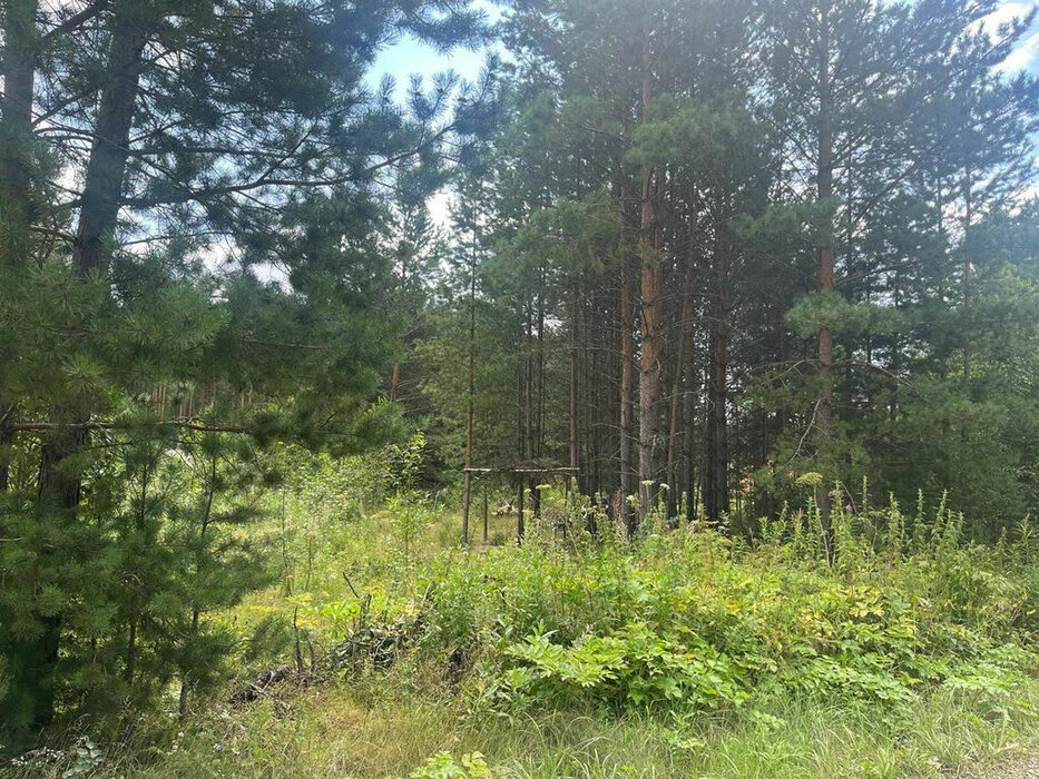 с. Кашино, ДКП 