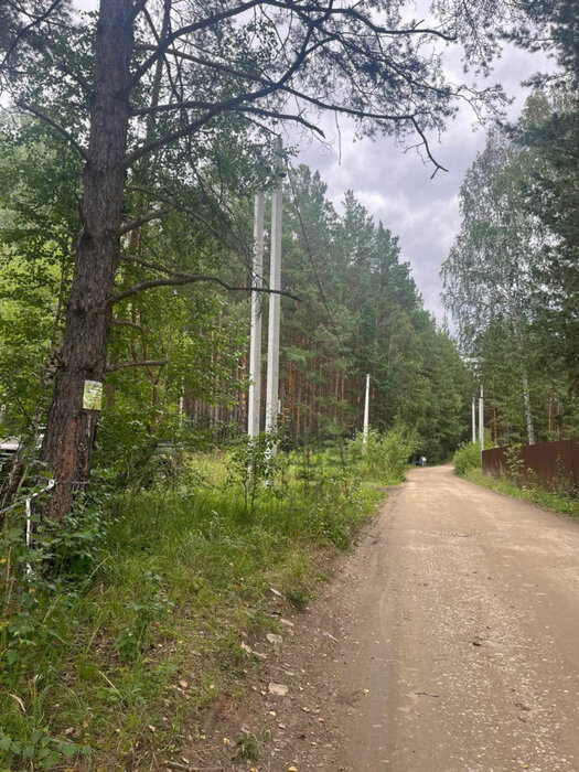 с. Кашино, ДКП 