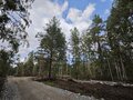 Продажа земельного участка: Екатеринбург, ул. Кургановская (Горный щит) - Фото 3