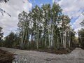 Продажа земельного участка: Екатеринбург, ул. Кургановская (Горный щит) - Фото 4