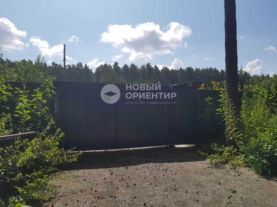 г. Березовский, Коллективный сад №15 (городской округ Березовский) - фото сада (1)