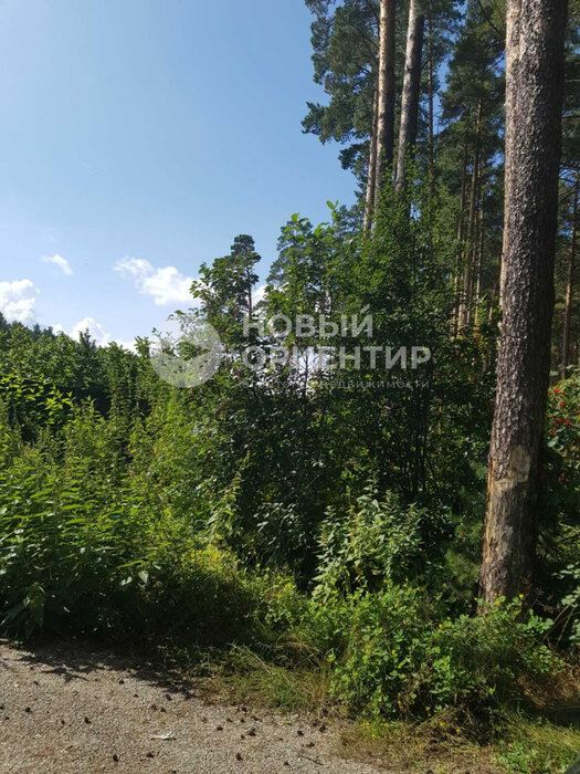 г. Березовский, Коллективный сад №15 (городской округ Березовский) - фото сада (2)