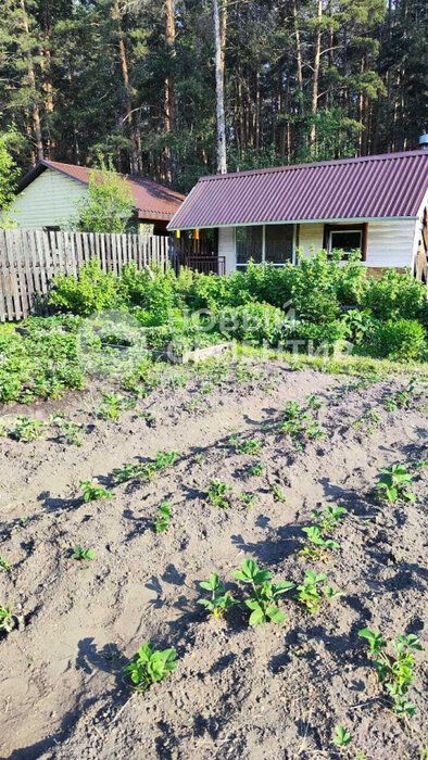 г. Березовский, Коллективный сад №15 (городской округ Березовский) - фото сада (3)