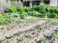 Продажа садового участка: г. Березовский, Коллективный сад №15 (городской округ Березовский) - Фото 3