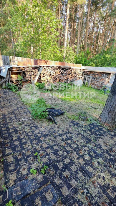 г. Березовский, Коллективный сад №15 (городской округ Березовский) - фото сада (7)