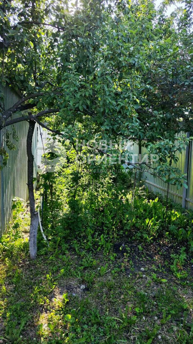 г. Березовский, Коллективный сад №15 (городской округ Березовский) - фото сада (8)