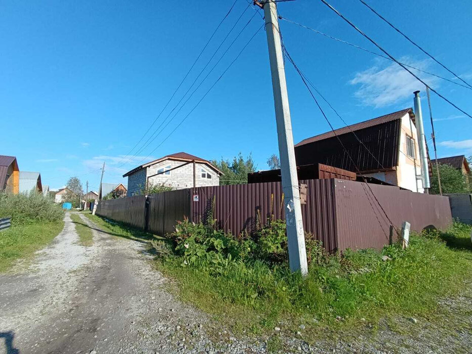 г. Верхняя Пышма, СНТ Простоквашино, уч. 54 (городской округ Верхняя Пышма) - фото сада (3)