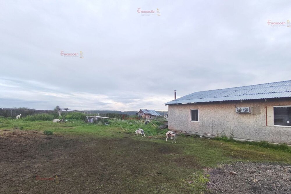 с. Абрамово, ул.  5,4км северо-восточнее села Абрамово (городской округ Сысертский) - фото готового бизнеса (6)