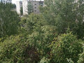 Продажа квартиры: Екатеринбург, ул. Симферопольская, 35 (Вторчермет) - Фото 5