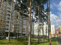 Продажа квартиры: г. Верхняя Пышма, ул. Уральских рабочих, 44 (городской округ Верхняя Пышма) - Фото 5