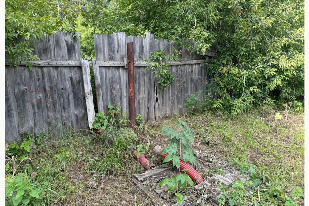 г. Березовский, Коллективный сад8 (городской округ Березовский) - фото сада (6)