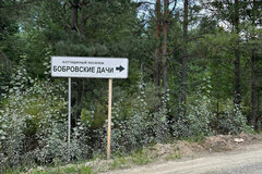 к.п. Бобровские дачи, ул. Терновая, 23 (городской округ Сысертский) - фото земельного участка