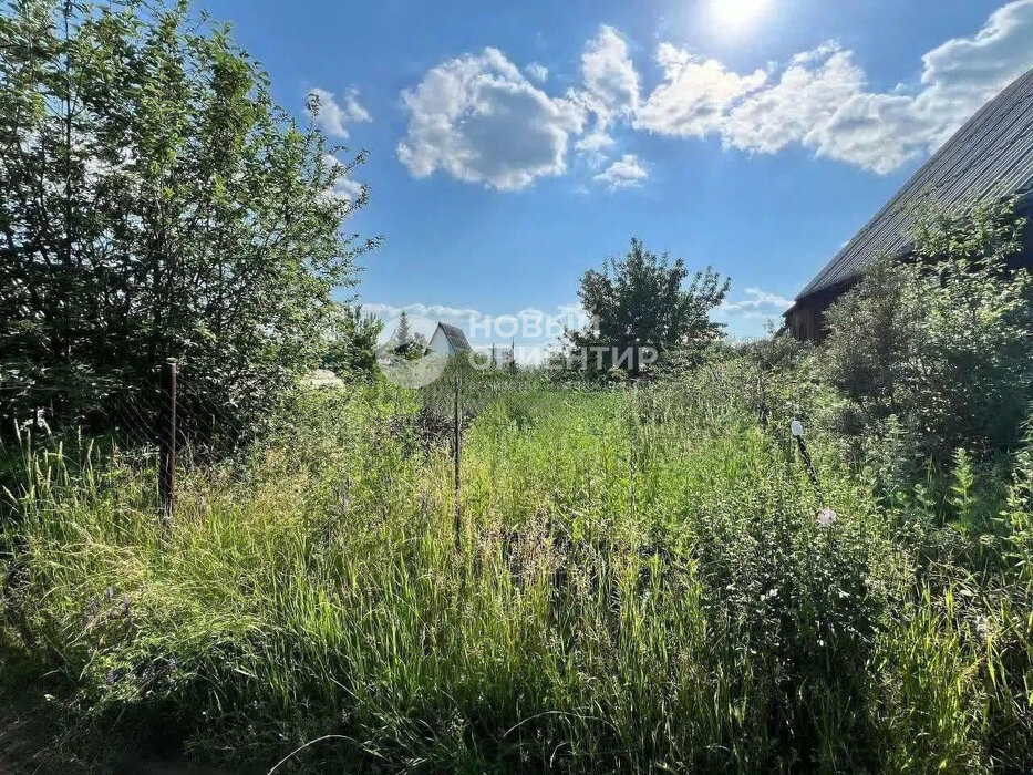 г. Арамиль, Авиатор 2 (городской округ Арамильский) - фото сада (8)