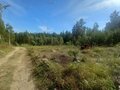 Продажа садового участка: п. Исеть, СНТ Людмила Среднеуральское лесничество Уралмашевского лесхоза кв-л, уч. 41 (городской округ Верхняя Пышма) - Фото 3