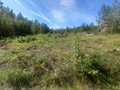 Продажа садового участка: п. Исеть, СНТ Людмила Среднеуральское лесничество Уралмашевского лесхоза кв-л, уч. 41 (городской округ Верхняя Пышма) - Фото 4