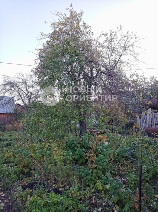 Екатеринбург, КС Металлист НИЗМК, 6, уч. 6 (Лечебный) - фото сада (7)