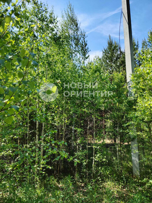 п. Бобровский, ул. Есенина (городской округ Сысертский) - фото земельного участка (7)