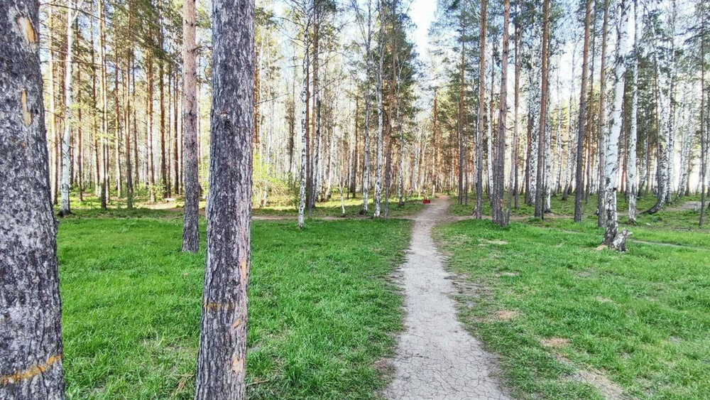 Екатеринбург, ул. Краснолесья, 54 (УНЦ) - фото квартиры (8)