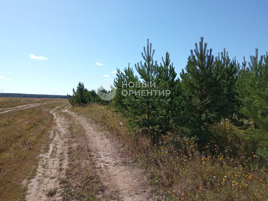 д. Верхняя Боевка, ул. Ленина, 22 (городской округ Сысертский) - фото земельного участка (1)