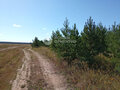 Продажа земельного участка коммерческого назначения: д. Верхняя Боевка, ул. Ленина, 22 (городской округ Сысертский) - Фото 1