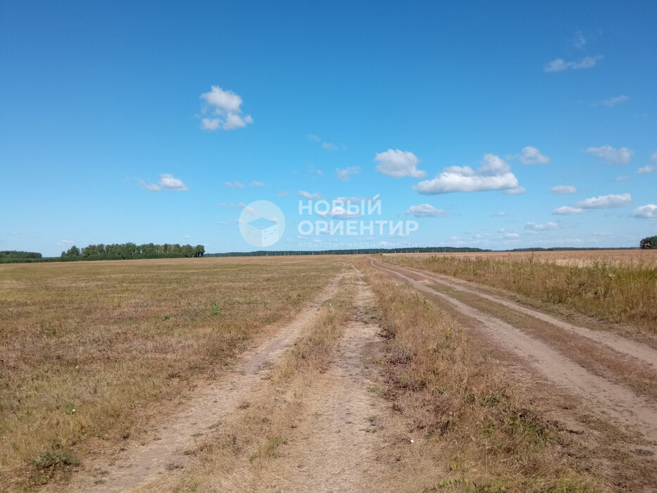 д. Верхняя Боевка, ул. Ленина, 22 (городской округ Сысертский) - фото земельного участка (4)