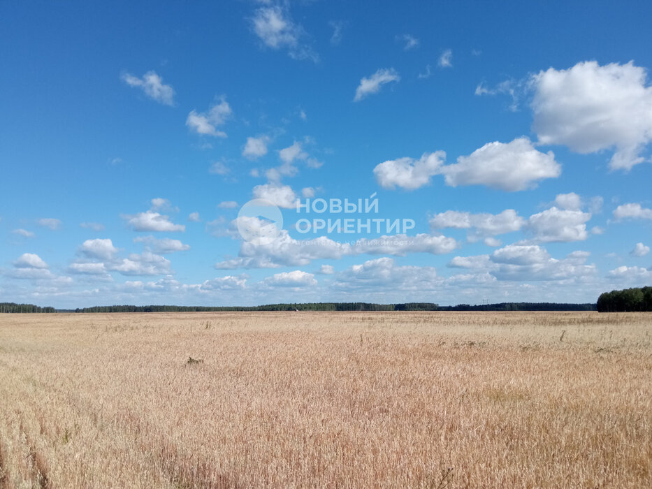д. Верхняя Боевка, ул. Ленина, 22 (городской округ Сысертский) - фото земельного участка (6)