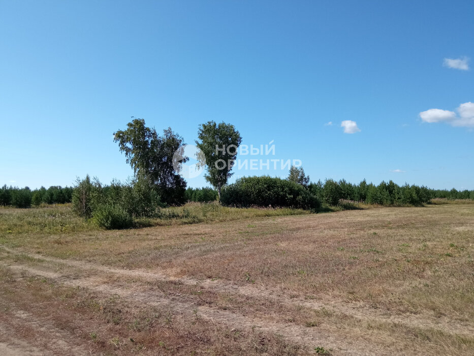 д. Верхняя Боевка, ул. Ленина, 22 (городской округ Сысертский) - фото земельного участка (7)