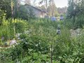 Продажа земельного участка: Екатеринбург, ул. Букетный, 3 (Кольцово) - Фото 3