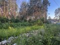 Продажа земельного участка: Екатеринбург, ул. Букетный, 3 (Кольцово) - Фото 4