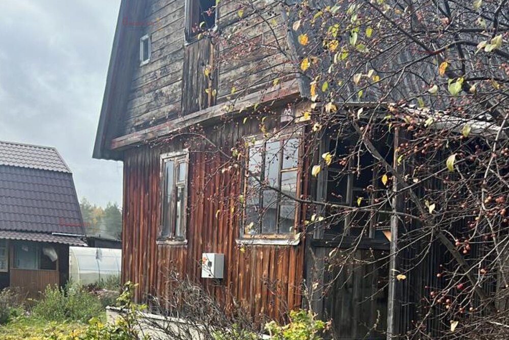 п. Сагра, СНТ Березки, уч. 5 99 (городской округ Верхняя Пышма) - фото сада (2)
