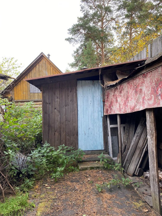 Екатеринбург, к/с Заря, ул. Начдива Онуфриева, 51 (Юго-Западный) - фото сада (6)