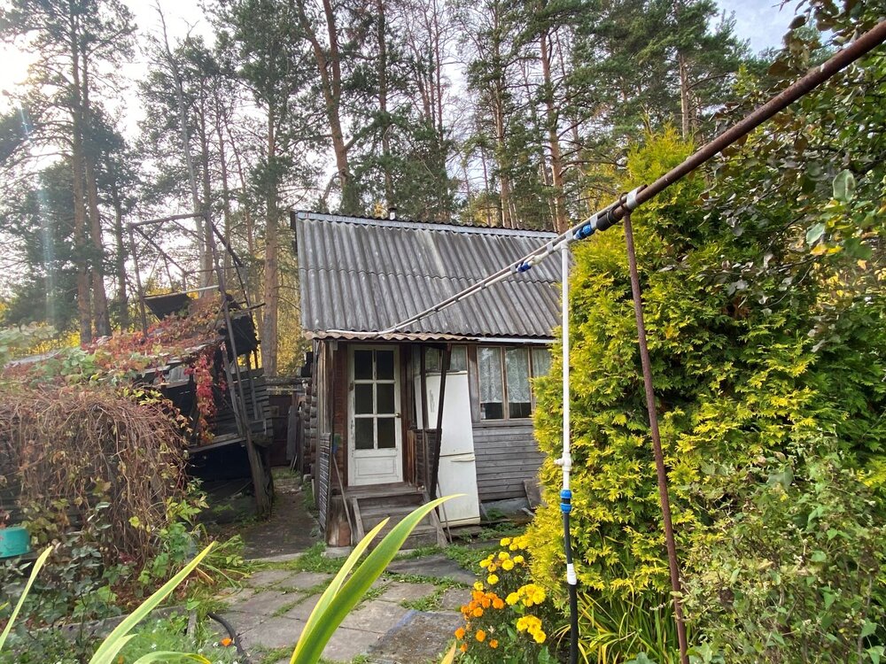 Екатеринбург, к/с Заря, ул. Начдива Онуфриева, 51 (Юго-Западный) - фото сада (8)