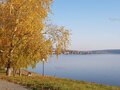 Продажа дома: поселок городского типа Верхние Серги, ул. Ленина, 100 (городское поселение Верхнесергинское) - Фото 4