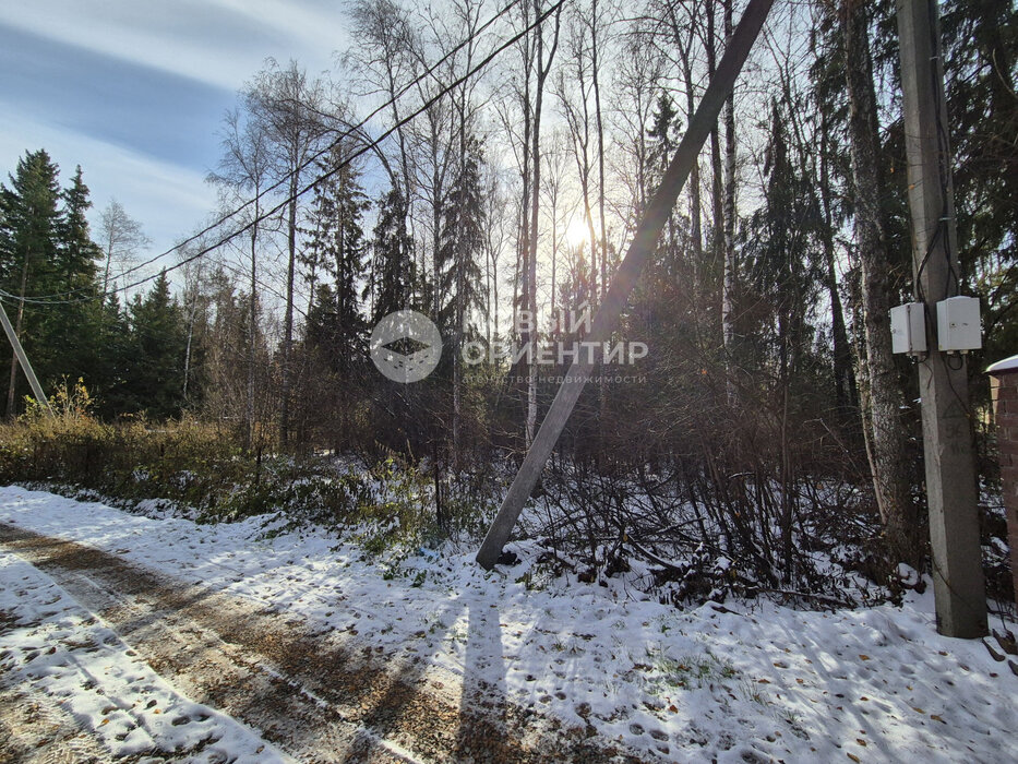 к.п. Новое созвездие (Октябрьский район) - фото земельного участка (7)