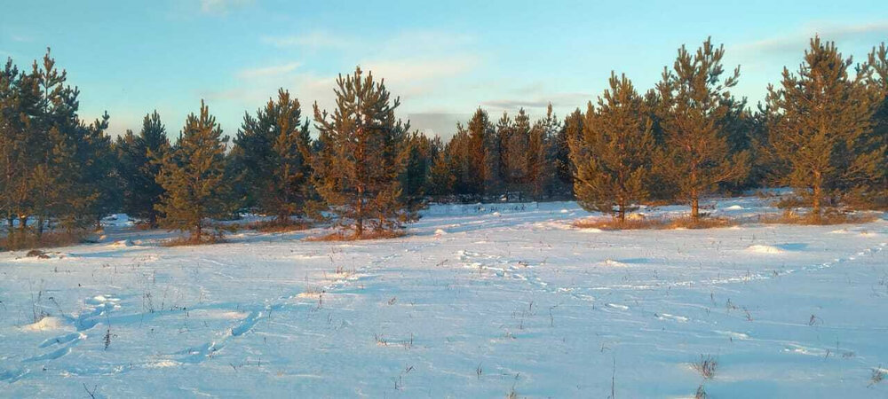 поселок городского типа Белоярский, ул. Свердлова (городской округ Белоярский) - фото земельного участка (11)