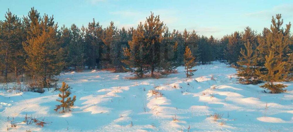 поселок городского типа Белоярский, ул. Свердлова (городской округ Белоярский) - фото земельного участка (15)