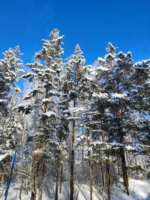 поселок городского типа Белоярский, ул. Свердлова (городской округ Белоярский) - фото земельного участка (16)