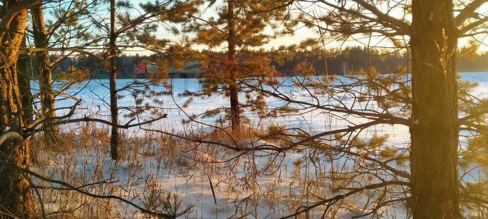 поселок городского типа Белоярский, ул. Свердлова (городской округ Белоярский) - фото земельного участка (6)