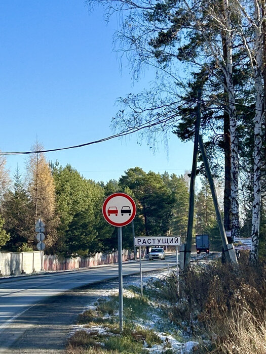 п. Растущий, ул. КП Растущий (городской округ Белоярский) - фото земельного участка (1)