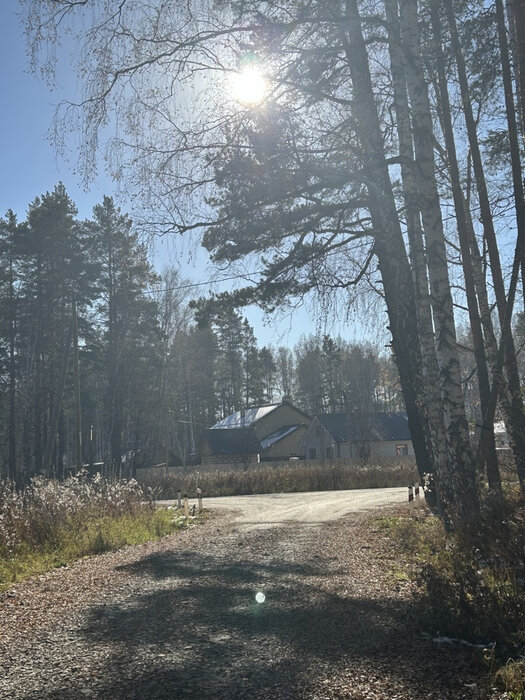 п. Растущий, ул. КП Растущий (городской округ Белоярский) - фото земельного участка (6)