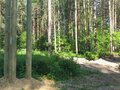 Продажа земельного участка: п. Прохладный, ул. Малиновая, 1 (городской округ Белоярский) - Фото 4