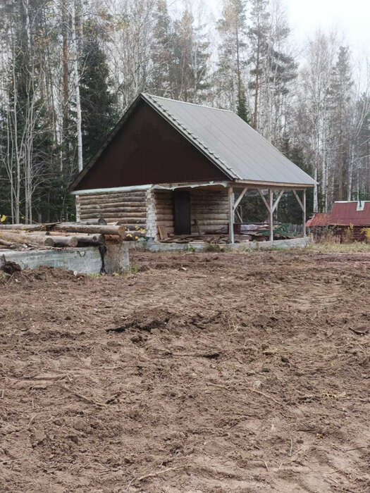 д. Хомутовка, СНТ №87 (городской округ Первоуральск) - фото сада (3)