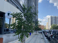 Продажа квартиры: Екатеринбург, ул. Ирбитская, 13 (Пионерский) - Фото 4