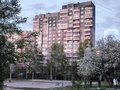 Продажа квартиры: Екатеринбург, ул. Боровая, 25 (Пионерский) - Фото 2